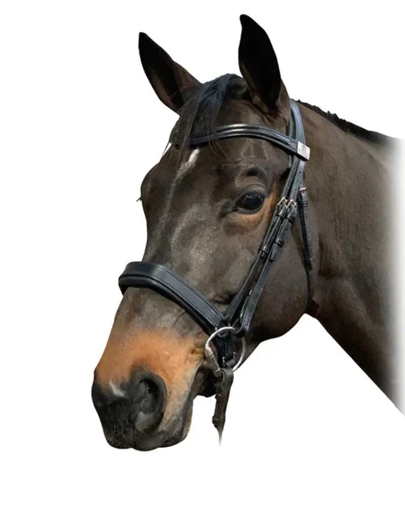 Fairfax Bridle - Narrow Cavesson Black